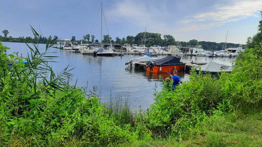 Urlaub an der Müritz Juli 2022